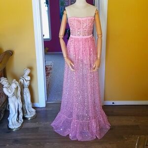 For Love and Lemons Sheer Pink Floral Dress